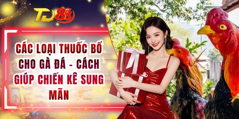 Các Loại Thuốc Bổ Cho Gà Đá - Cách Giúp Chiến Kê Sung Mãn