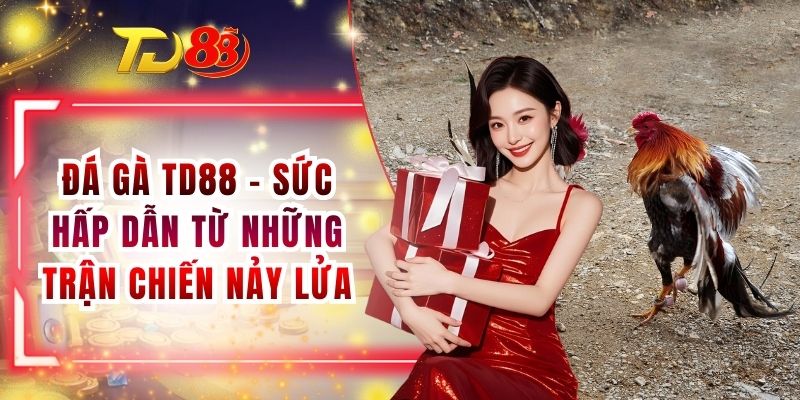 Đá Gà TD88 - Sức Hấp Dẫn Từ Những Trận Chiến Nảy Lửa Đá Gà TD88 - Sức Hấp Dẫn Từ Những Trận Chiến Nảy Lửa