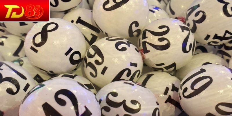 Lưu trữ kết quả và xác nhận trúng thưởng