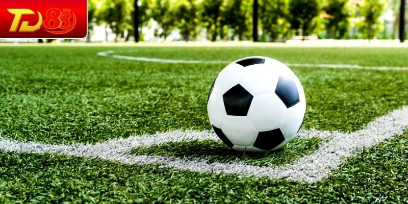 Thông tin chung về tips bóng đá tại TD88
