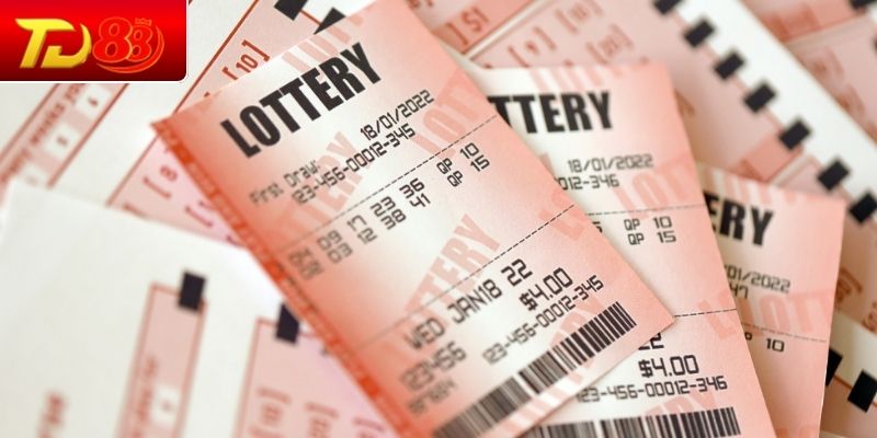 Tổng hợp dữ liệu và nhận diện quy luật chuẩn 