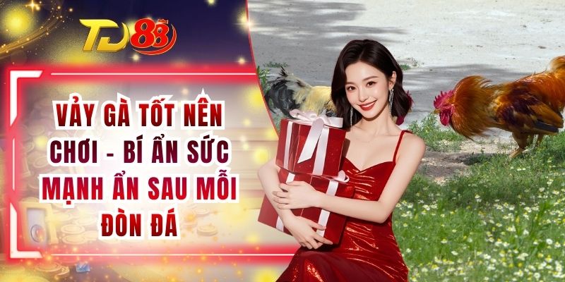 Vảy Gà Tốt Nên Chơi - Bí Ẩn Sức Mạnh Ẩn Sau Mỗi Đòn Đá